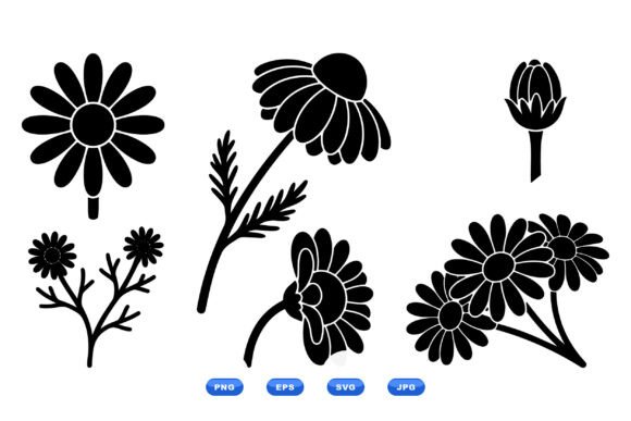 Daisy Floral SVG Clipart Review